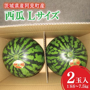 茨城県産大玉すいか2玉(1玉6〜7.5kg)Lサイズ JA水郷つくば 先行予約 スイカ 西瓜 フルーツ 果物 くだもの 大玉 茨城県 阿見町[2026年6月中旬より発送予定](20-04)