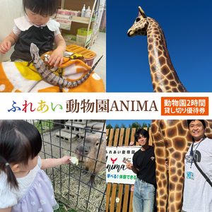 ӂꂠANIMA Qԑ݂؂DҌy ǂԂ  `Pbg  錧zi61-02j