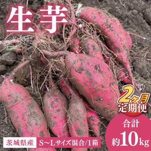 [2ヶ月定期便]生芋10kg S〜Lサイズ混合 1箱[芋 さつまいも サツマイモ 阿見町 茨城県](56-15)