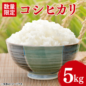 [10月中旬より発送]コシヒカリ5kg[令和7年産新米]「茨城県産 茨城県産米」[米 おこめ こしひかり 農家直送 直送 茨城県 阿見町](67-01-1)
