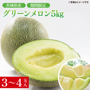 先行予約 グリーンメロン 5kg  3玉入 4玉入 山崎農園 産地直送 お取り寄せ 夏 旬 フルーツ 果物 くだもの 甘い メロン 茨城県 阿見町【2026年5月下旬～6月中旬頃順次発送予定】（70-02-1）