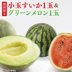 先行予約 グリーンメロン 小玉 スイカ 西瓜 1玉 セット 山崎農園 産地直送 お取り寄せ 夏 旬 茨城県 阿見町 すいか 西瓜 メロン 果物 くだもの フルーツ 国産 甘い 送料無料【2026年5月下旬～6月下旬頃順次発送予定】（70-03-1）