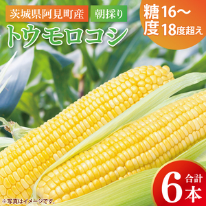 とうもろこし トウモロコシ 6本入 甘い フルーツコーン 朝採れ 茨城県産 阿見町 産地直送 限定 お取り寄せ 夏 春 旬 先行予約[2026年6月下旬より順次配送](73-01)