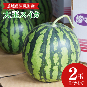 茨城県産大玉すいか2玉(Lサイズ)高糖度 甘い 旬 人気 国産 産地直送 夏限定 期間 数量限定 スイカ 西瓜 フルーツ 果物 茨城県 阿見町[先行予約|2026年6月中旬より順次配送](21-01)