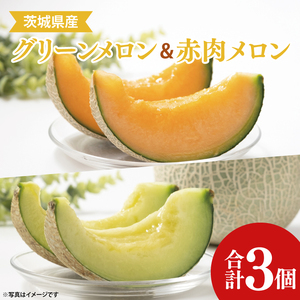 茨城県阿見町産メロン3玉(青肉2玉・赤肉1玉)高糖度 大きい 甘い 旬 人気 国産 産地直送 夏限定 期間 数量限定 めろん フルーツ 果物 茨城県 阿見町[先行予約|2026年6月中旬より順次配送](21-02)