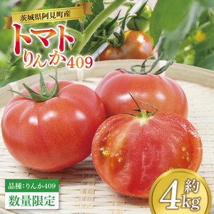先行予約 トマト りんか409 約4kg 野菜 産地直送 栄養満点 新鮮 こだわり栽培 夏 旬 甘み 酸味 とまと 茨城県 阿見町産【2026年5月下旬より順次発送予定】(76-08)