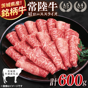 y錧ʕԗiz헤[XXCX600gy[X [X   Ⓚ ς 錧 z(81-04)