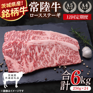 y錧ʕԗizy12ցz헤[XXe[L v6kg(250g×24)y  Ⓚ ς r^~ 錧Yz(81-09)