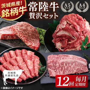[茨城県共通返礼品][12回定期便]最高級A4.5ランク常陸牛 贅沢セット[銘柄牛 牛肉 冷凍 たんぱく質 スライス ステーキ すき焼き しゃぶしゃぶ 切り落とし 茨城県産](81-14)