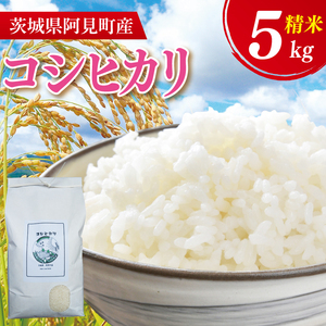 [先行予約][10月中旬より発送] コシヒカリ5kg[お米 白米 コシヒカリ こしひかり 精米 阿見町 茨城県](71-02)