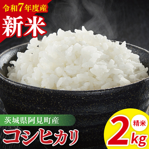 [先行予約]令和7年産阿見町産コシヒカリ 精米 2kg[お米 米 こしひかり ごはん 茨城県](85-01)