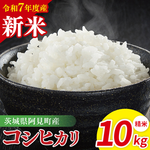 ys\zߘa7NYYRVqJ@ā@10kgi5kg×2jy  Ђ ͂ 錧zi85-75j