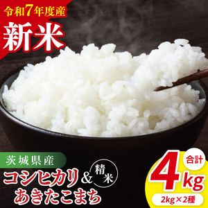 [10月中旬から発送][先行予約][令和7年産新米]茨城県産 精米 食べ比べ (コシヒカリ あきたこまち) 各2kg(85-46)