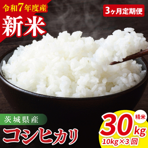 ys\zy3ys\zy3ցzߘa7NY 錧YRVqJ@ā@10kgi5kg×2ji85-96jցzߘa7NY 錧YRVqJ@ā@10kgi5kg×2jy  Ђ