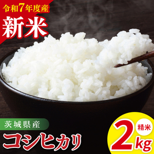 [先行予約]令和7年産 茨城県産コシヒカリ 精米 2kg[お米 米 こしひかり ごはん 茨城県](85-10)