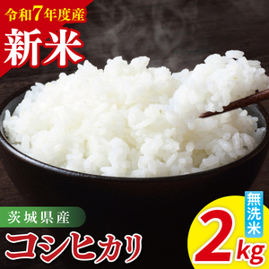[先行予約]令和7年産 茨城県産コシヒカリ 無洗米 2kg[お米 米 こしひかり ごはん 茨城県](85-13)