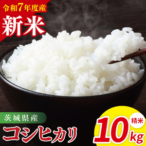 ys\zߘa7NY 錧YRVqJ@ā@10kgi5kg×2ji85-84j