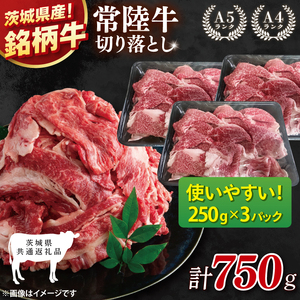 [茨城県共通返礼品]常陸牛切り落とし 750g(250g×3)[黒毛和牛 国産 銘柄牛 牛肉 肉 冷凍 茨城県産](81-26)