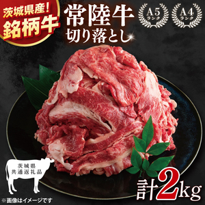 y錧ʕԗizeʁI헤؂藎Ƃ 2kgi500g×4jyјa Y    Ⓚ 錧Yz(81-34)