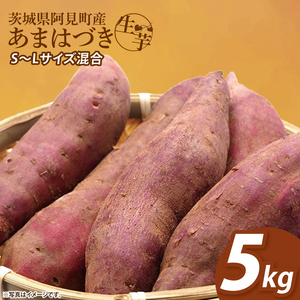 [12月下旬より順次発送]さつまいも あまはづき5kg[甘藷 甘い さつま芋 サツマイモ 薩摩芋 茨城県産 茨城県 阿見町](90-02)