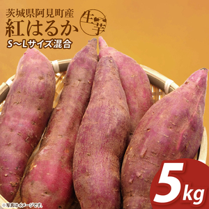 [12月下旬より順次発送]さつまいも 紅はるか5kg[甘藷 甘い さつま芋 サツマイモ 薩摩芋 茨城県産 茨城県 阿見町](90-04)