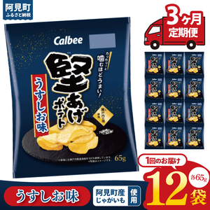 [3回定期便]カルビー 堅あげポテト うすしお味(65g)12個|Calbee お菓子 菓子 おやつ おかし ぽてち ポテチ スナック おつまみ ジャガイモ じゃがいも(93-11)