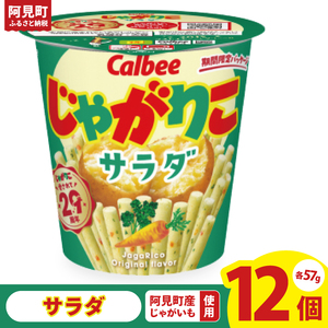 カルビー じゃがりこサラダ (57g) 12個|Calbee お菓子 菓子 おやつ おかし スナック おつまみ ジャガイモ じゃがいも(93-16)