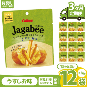 [3回定期便]カルビー Jagabee うすしお味(38g) 12個|Calbee お菓子 菓子 おやつ おかし ジャガビー じゃがびー スナック おつまみ ジャガイモ じゃがいも(93-29)
