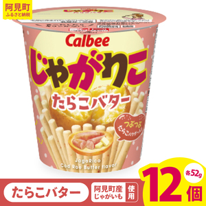 Jr[ Ⴊ肱 炱o^[ 52g 12bCalbee َq َq   ۂĂ |e` XibN ܂ WKC Ⴊi93-34j
