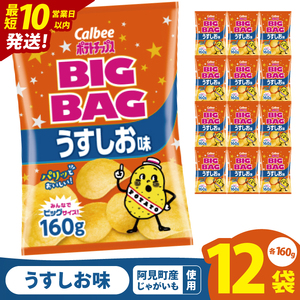 [10営業日以内に出荷]カルビー ポテトチップス うすしお味 BIGBAG(160g)×12個|Calbee お菓子 菓子 おやつ おかし ぽてち ポテチ スナック おつまみ ジャガイモ じゃがいも(93-55)