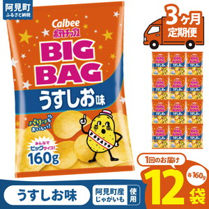[3ヶ月定期便]カルビー ポテトチップス うすしお味 BIGBAG(160g)×12個|Calbee お菓子 菓子 おやつ おかし ぽてち ポテチ スナック おつまみ ジャガイモ じゃがいも(93-56)