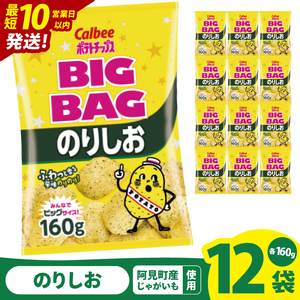 [10営業日以内に出荷]カルビー ポテトチップス のりしお BIGBAG(160g)×12個|Calbee お菓子 菓子 おやつ おかし ぽてち ポテチ スナック おつまみ ジャガイモ じゃがいも(93-61)