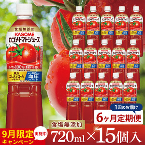 y6ցzJSg}gW[X HY 720ml×15bKAGOME Ƃ܂  Rs GAVA @\\Hii93-201j