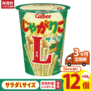 [3ヶ月定期便]カルビー じゃがりこ サラダ Lサイズ 68g×12個|Calbee お菓子 菓子 おやつ おかし ぽてち ポテチ スナック おつまみ ジャガイモ じゃがいも(93-80)