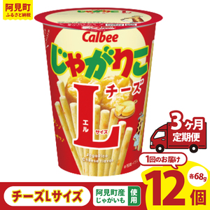 [3ヶ月定期便]カルビー じゃがりこ チーズ Lサイズ 66g×12個|Calbee お菓子 菓子 おやつ おかし ぽてち ポテチ スナック おつまみ ジャガイモ じゃがいも(93-83)