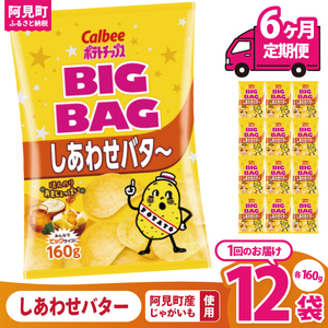 y6ցzJr[ |eg`bv X킹o^` BIGBAG 160g×12bCalbee َq َq   ۂĂ |e` XibN ܂ WKC Ⴊi93-108j