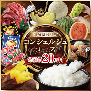 [提案型]コンシェルジュコース(20万円)(000-08)