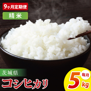 �y9��������ցz��錧�Y�R�V�q�J���@���ā@5kg�b���� ����� ���� �� ���� �R�� ���͂� ���� ������ ��錧 ��錧�Y ��錧�Y�� ���S ���S �������� ���Y �l�C ���ʌ��� ���]���i85-95�j