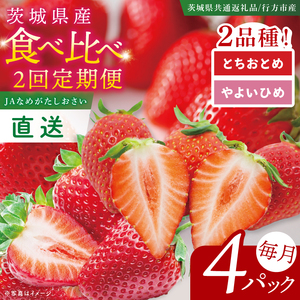 [先行予約2月から1回目発送][茨城県共通返礼品/行方市産]食べ比べいちご・2回定期便「とちおとめ」「やよいひめ」(4パック入×2回)|甘い 苺 減農薬栽培 (96-03)