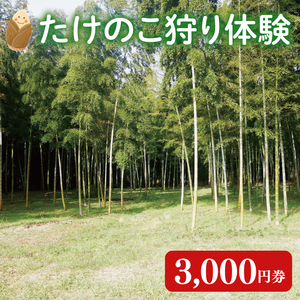 [2026年3月下旬より発送開始]『茨城県阿見町』1日2組限定 たけのこ狩り体験 3,000円券|収穫体験 食育 農業体験 自然体験 旬 春限定 レジャー タケノコ 筍 季節イベント(23-02)