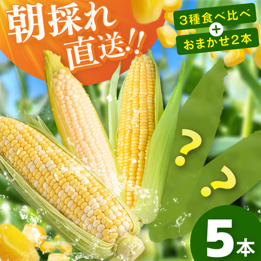 とうもろこし 朝採り 食べ比べ 5本 セット 先行予約 茨城県 阿見町産 産地直送 フルーツコーン トウモロコシ コーン 黄 白 ミックス おすすめ 甘い 新鮮 国産 夏 旬 野菜 お取り寄せ [2026年6月発送](73-03)