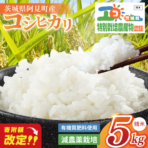 令和7年産 特別栽培農産物認証 コシヒカリ 精米 5kg 特栽米 ネオニコフリー 減農薬 減化学肥料 安心 安全 こしひかり 白米 弁当 おにぎり オニギリ 有機肥料 特別栽培米 エコ農産物 茨城県産米(86-03)