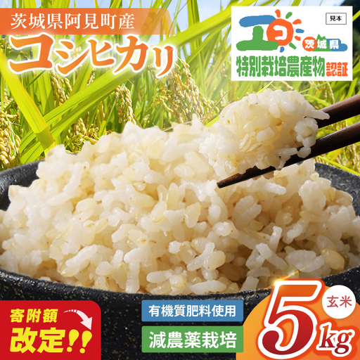 令和7年産 特別栽培農産物認証 コシヒカリ玄米5kg 特栽米 ネオニコフリー 減農薬 減化学肥料 安心 安全 こしひかり 白米 弁当 おにぎり オニギリ 有機肥料 特別栽培米 エコ農産物 茨城県産米(86-04)
