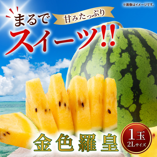すいか 金色羅皇 2L(1玉) 西瓜 高糖度 シャリ感 甘い 夏限定 旬 フルーツ すいか 人気 産地直送 ギフト 茨城県 阿見町[先行予約|2026年6月中旬より発送](76-09)