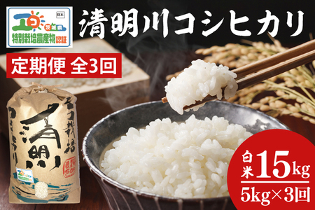 04-03[3ヶ月定期便]茨城県特別栽培認証 清明川コシヒカリ白米5kg[令和6年産新米][米 おこめ こしひかり 特別栽培米 農家直送 直送 茨城県 阿見町]