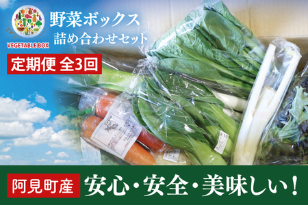 04-06[3ヶ月定期便]阿見町産野菜ボックス詰め合わせセット(7〜8品)[新鮮 美味しい EM菌 減農薬 有機肥料 阿見町 茨城県]