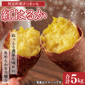 ys\ 11珇z錧Y ܂ g͂邩 5kg×1yTc}C  ׂɂ͂邩 錧 z(04-10)