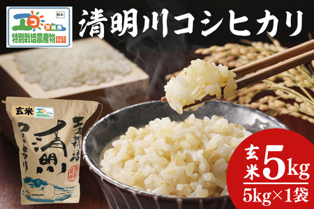 茨城県特別栽培認証 清明川コシヒカリ玄米 5kg[令和6年産新米][米 おこめ こしひかり 特別栽培米 農家直送 直送 茨城県 阿見町]