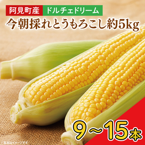 [先行予約]阿見町産 今朝採れとうもろこし約5kg(ドルチェドリーム・9本〜15本)[茨城県 阿見町 国産 甘い 朝採り 野菜 コーン バイカラー 送料無料](04-22)