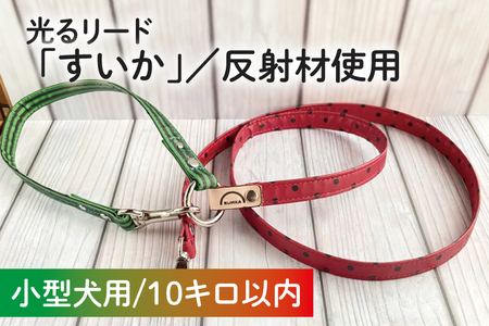 48-13[小型犬用10キロまで]光るリード「すいか」